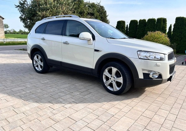 Chevrolet Captiva cena 33000 przebieg: 266000, rok produkcji 2012 z Płock małe 172